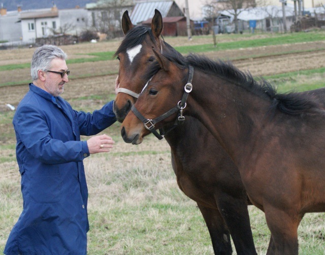 ScholaInNatura Fotogaleria