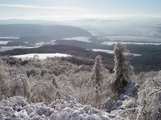 ScholaInNatura Fotogaleria