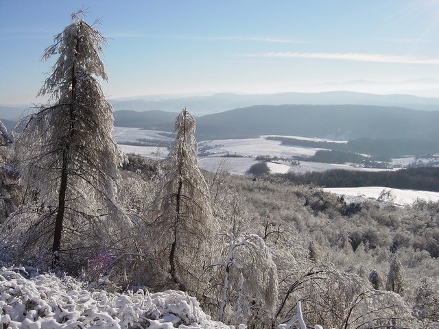 ScholaInNatura Fotogaleria