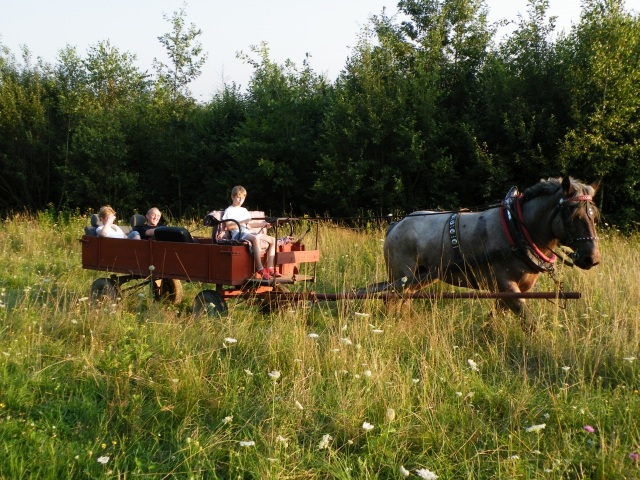 ScholaInNatura Fotogaleria