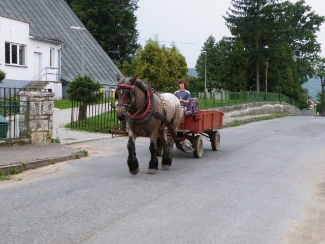 ScholaInNatura Fotogaleria