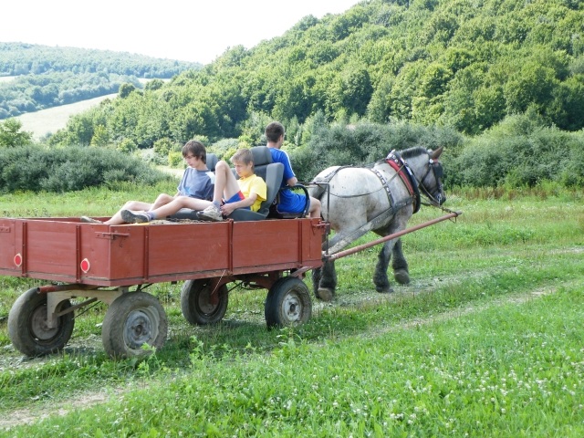 ScholaInNatura Fotogaleria