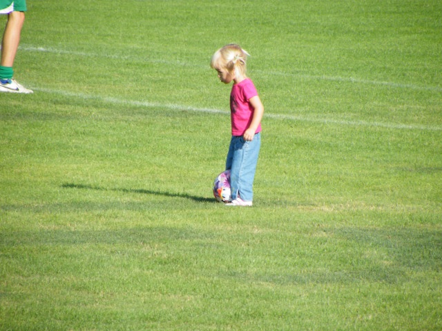 ScholaInNatura Fotogaleria