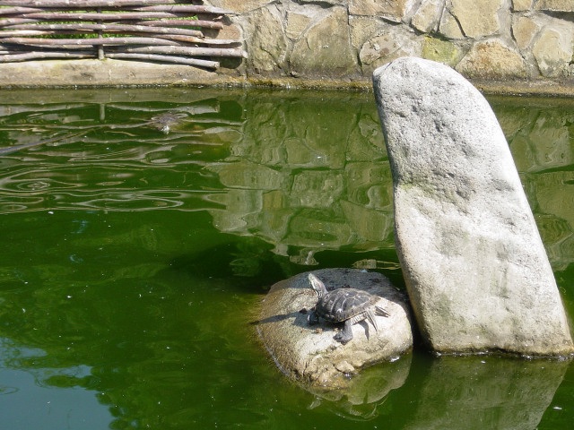 ScholaInNatura Fotogaleria