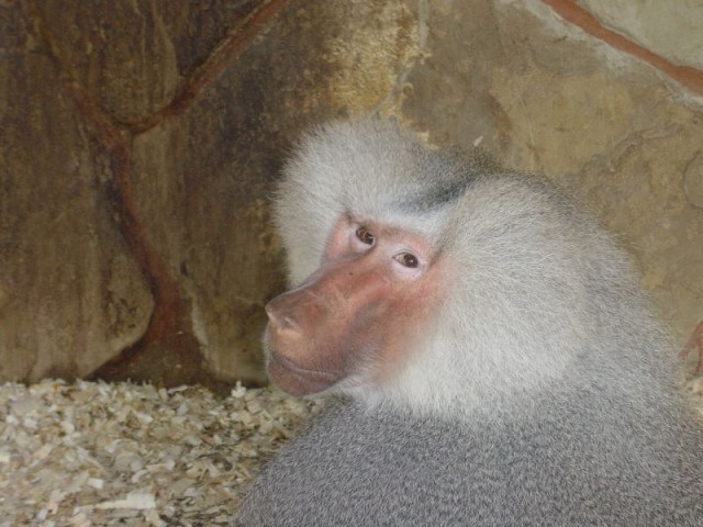 ScholaInNatura Fotogaleria