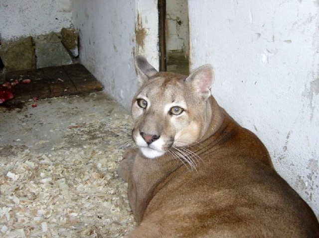 ScholaInNatura Fotogaleria