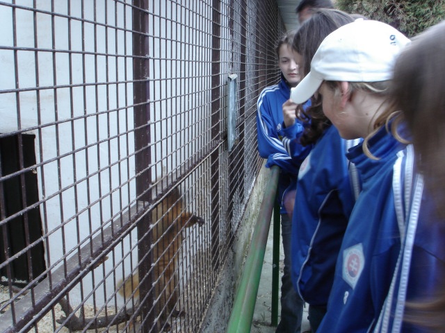 ScholaInNatura Fotogaleria