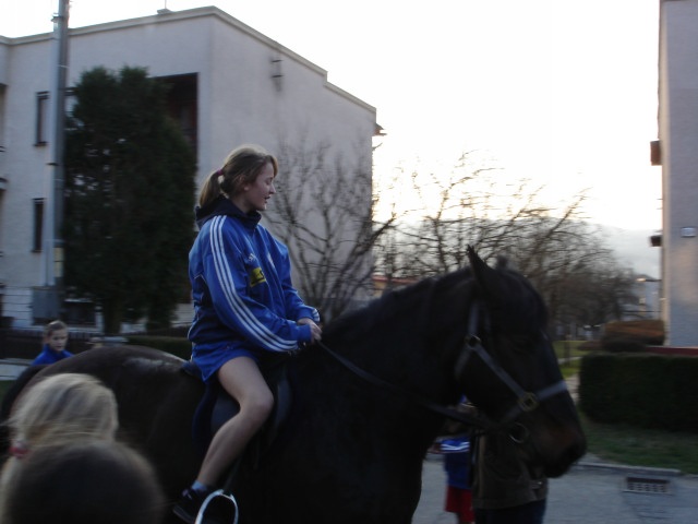 ScholaInNatura Fotogaleria