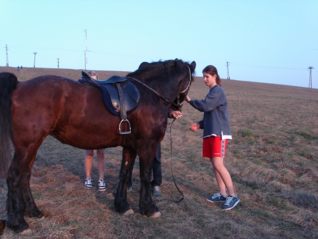 ScholaInNatura Fotogaleria