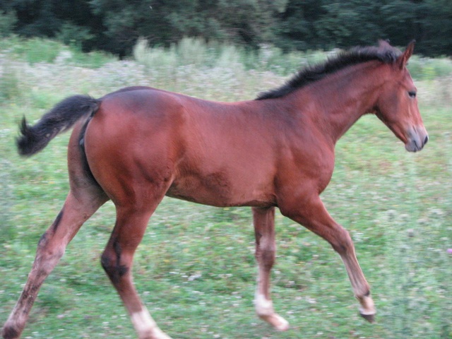 ScholaInNatura Fotogaleria