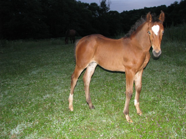 ScholaInNatura Fotogaleria