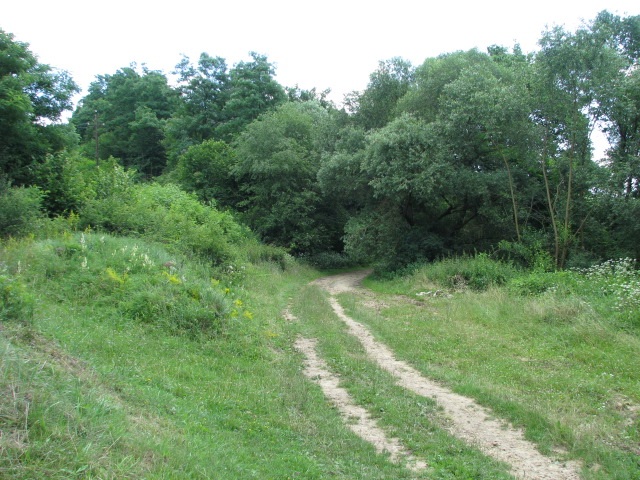 ScholaInNatura Fotogaleria