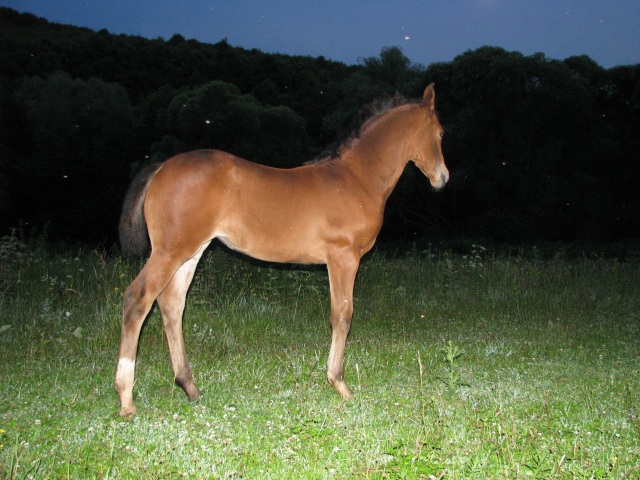 ScholaInNatura Fotogaleria