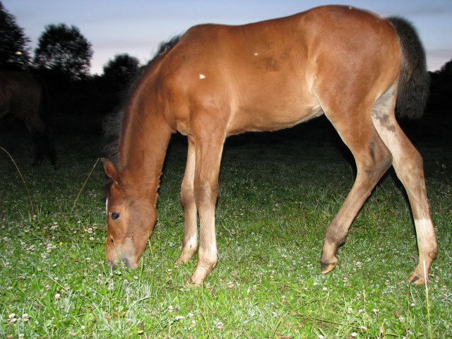 ScholaInNatura Fotogaleria