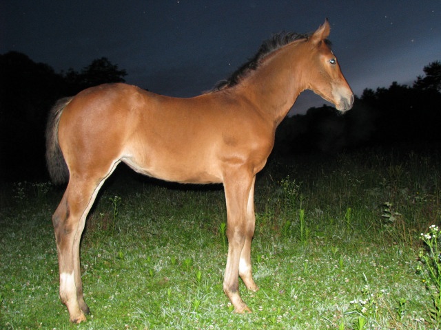 ScholaInNatura Fotogaleria