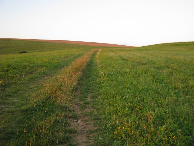 ScholaInNatura Fotogaleria