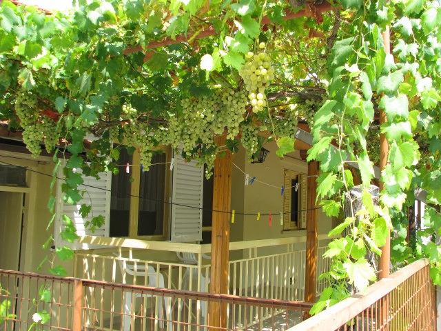 ScholaInNatura Fotogaleria