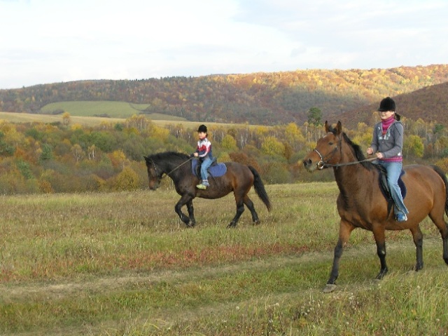ScholaInNatura Fotogaleria