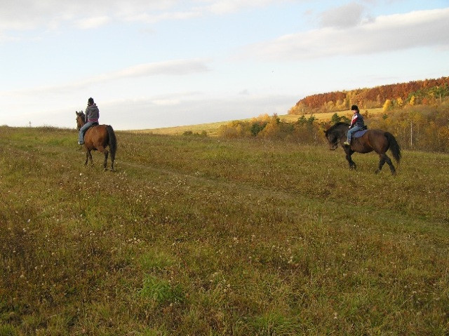 ScholaInNatura Fotogaleria
