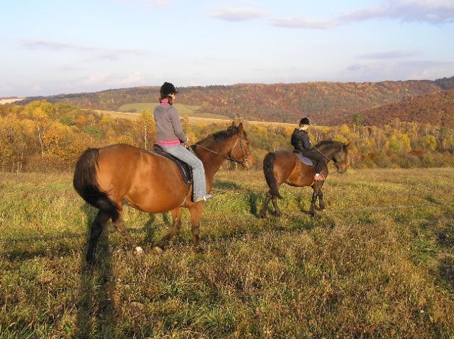 ScholaInNatura Fotogaleria