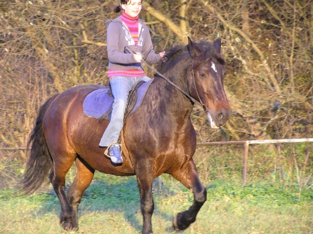 ScholaInNatura Fotogaleria