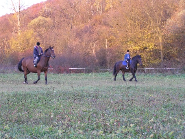 ScholaInNatura Fotogaleria