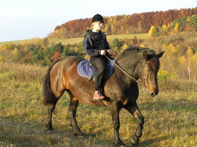 ScholaInNatura Fotogaleria