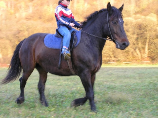 ScholaInNatura Fotogaleria