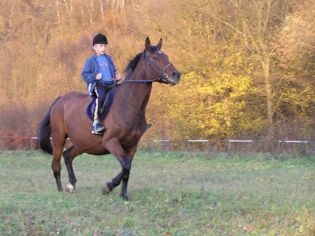 ScholaInNatura Fotogaleria