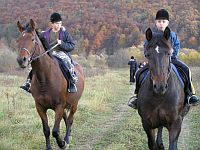 Rekreačné jazdenie na koňoch
