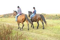 Rekreačné jazdenie na koňoch